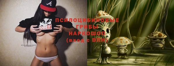 mix Карпинск
