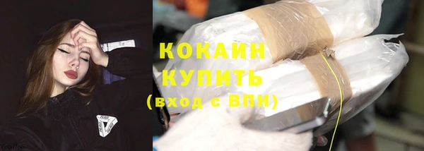 сатива Карталы