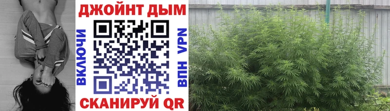 Купить закладки  Олёкминск  Марихуана ГИДРОПОН 